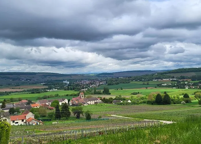 Le Coq de Champagne