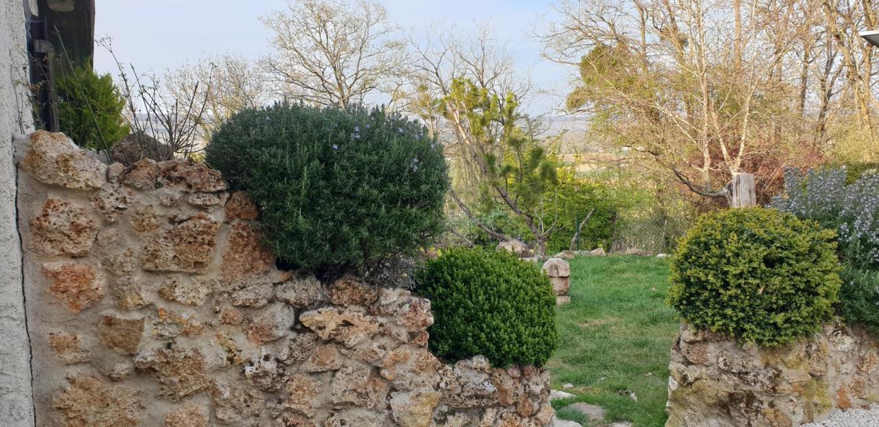 Le Coq De Champagne Dormans